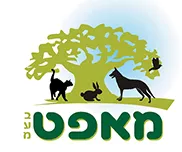 מאפט – יבואן אוכל וציוד לבעלי חיים